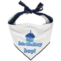 Thumbnail for Birthday Boy Pet Bandana