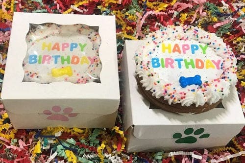 Birthday Confetti Dog Cake