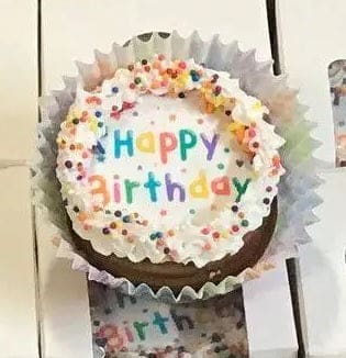 Birthday Confetti Dog Cupcake