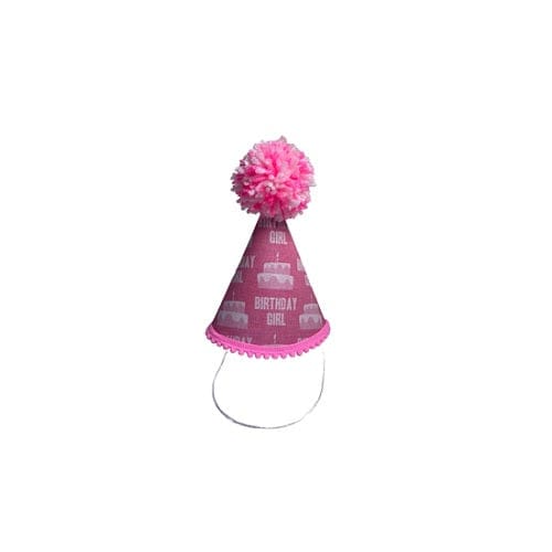 Birthday Girl Dog Hat - Pink Ink