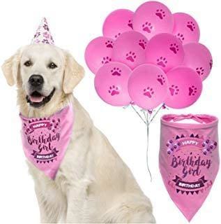 Dog Birthday Girl Set