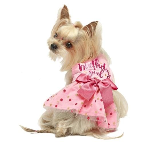 Birthday Girl Tulle Dog Dress