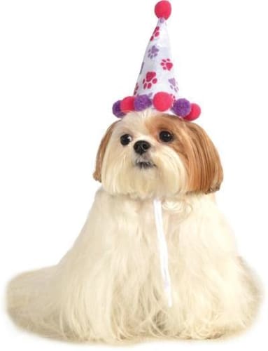 Pet Birthday Hat - Pink/Purple Paw Prints