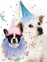 Thumbnail for Birthday Dog Hat
