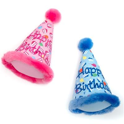 Birthday Hat Dog Toy
