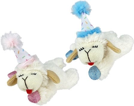 Birthday Lamb Chop Cat Toy