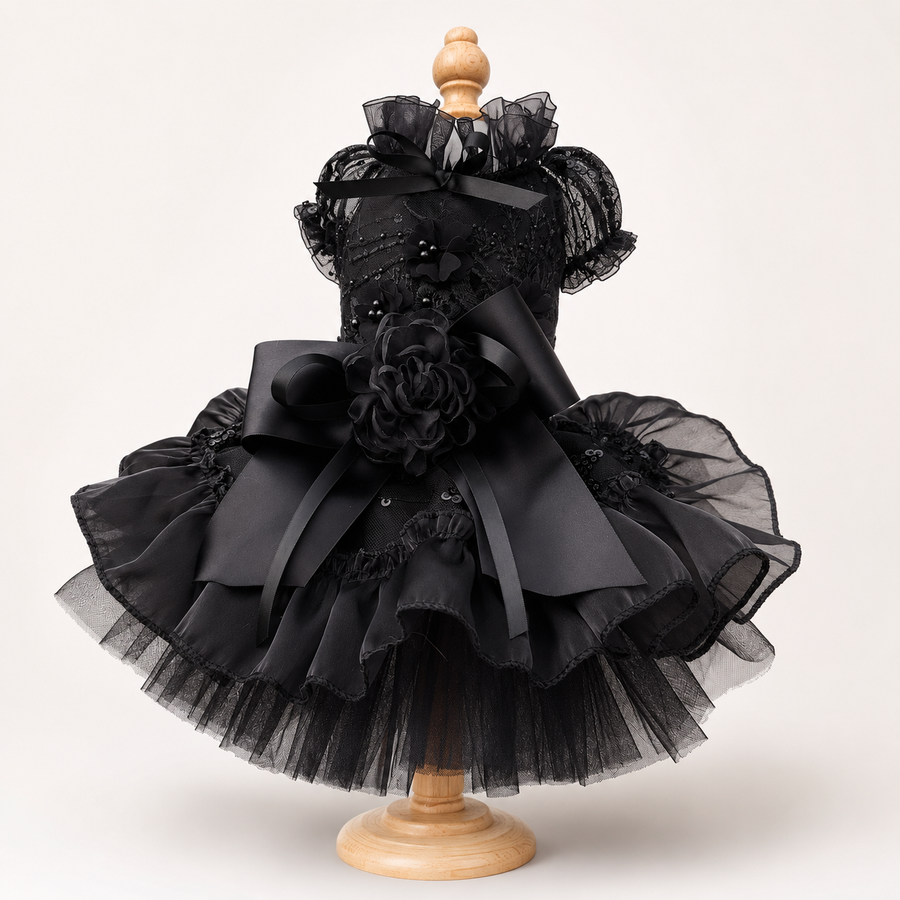 Black Dog Dress with Detachable Train