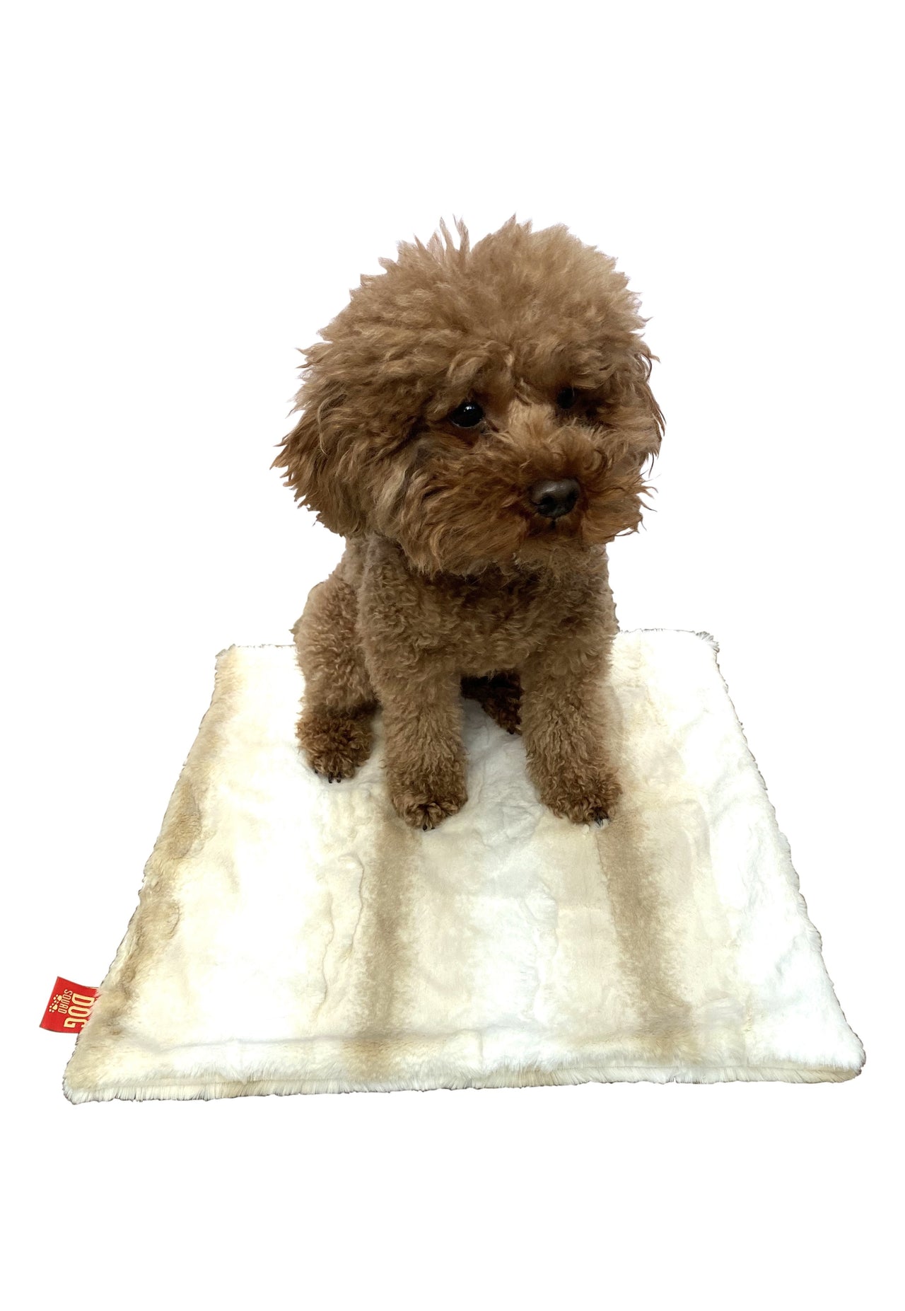 Carrier Square Blanket, Angora Ombre in Biscotti