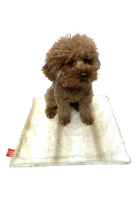 Thumbnail for Carrier Square Blanket, Angora Ombre in Biscotti