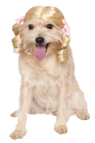Blonde Cheerleader Pet Wig