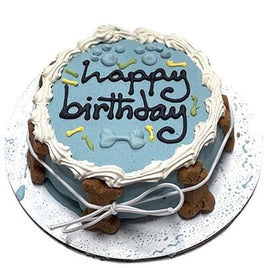 Blue SS Birthday Cake