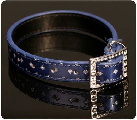 Blue Star Glitter Dog Collar with Swarovski Buckle