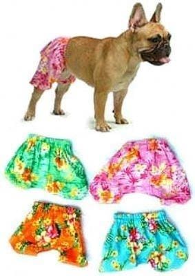 Dog Board Shorts