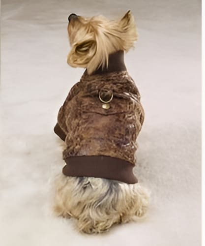 Bomber Dog Jacket