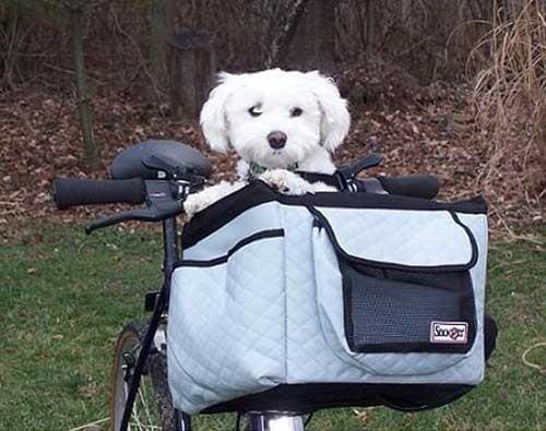 Buddy Basket - Dog Bike