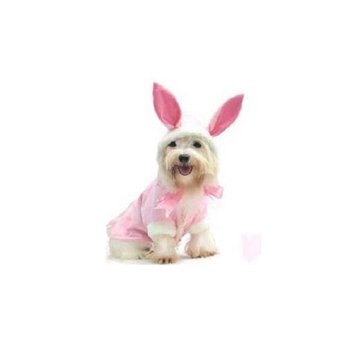 Bunny Costume