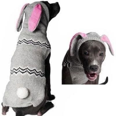 Bunny Dog Hoodie