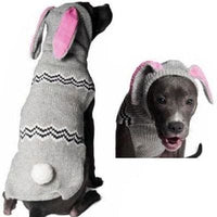 Thumbnail for Bunny Dog Hoodie