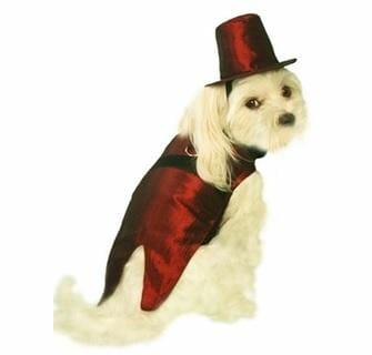 Burgundy Satin Dog Tuxedo