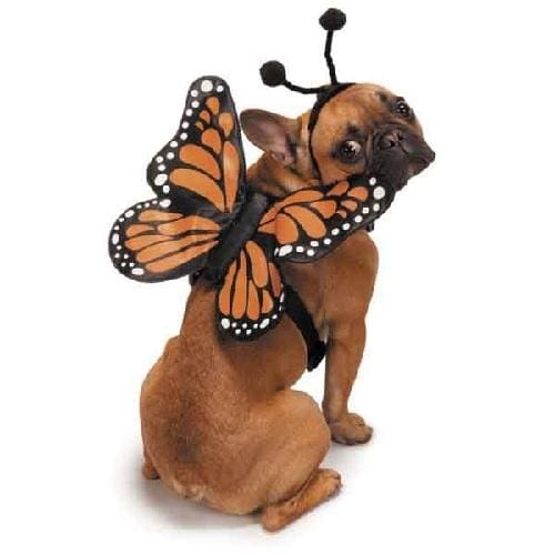 Butterfly Glow Wings Harness Dog Costume