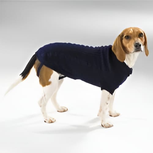 Cable Knit Dog Sweater