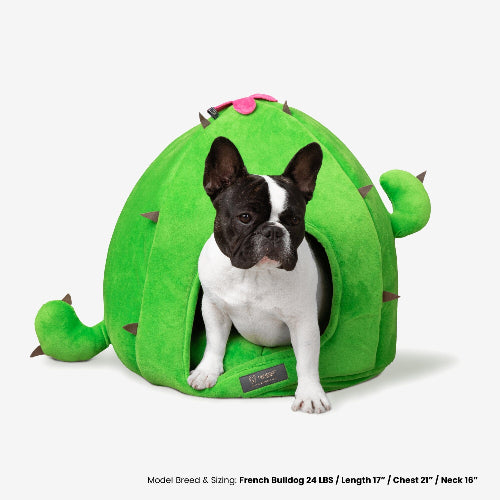 Dog sitting in a green cactus-shaped pet bed on a white background