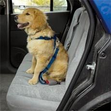 Car Safety Harness for Dogs