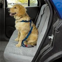 Thumbnail for Car Safety Harness for Dogs