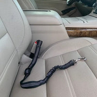 Thumbnail for Car Safety Leash