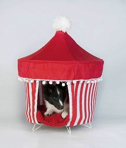 Carnival Tent Pet Bed
