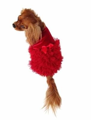 Carpet Ruffle Dog Dress