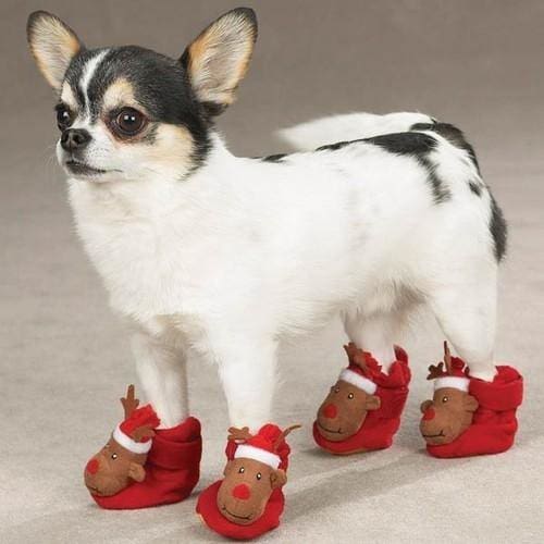 Casual Canine Holiday Dog Slippers