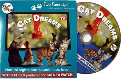 Cat Dreams DVD for Cats