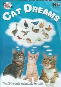 Thumbnail for Cat Dreams DVD for Cats