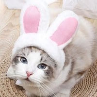 Cat Easter Bunny Ears