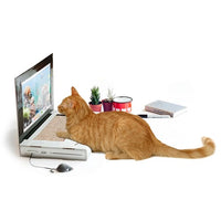 Thumbnail for Cat Laptop Scratch Pad