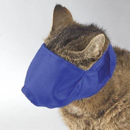 Cat Muzzle