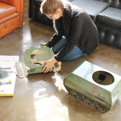 Cat Playhouse Tank