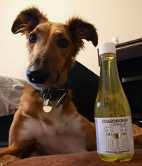 Thumbnail for CharDOGnay Wine for Dogs