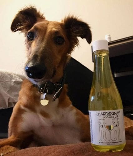 CharDOGnay Wine for Dogs