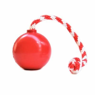 Cherry Bomb Ultra Durable Nylon Dog Chew Toy