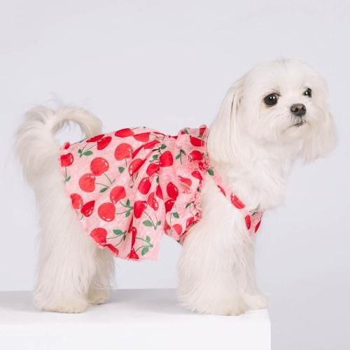 Cherry Dog Dress