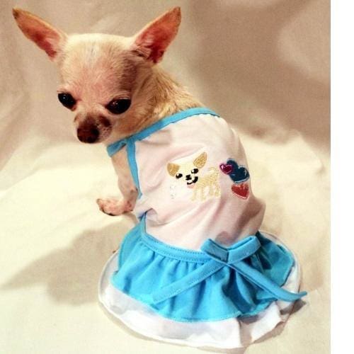 Chihuahua Princess Dog Dress