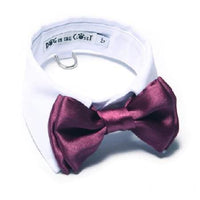 Thumbnail for Choose Your Color Bow Tie