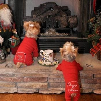 Christmas Dog Pajama - Santa’s Lil Helper
