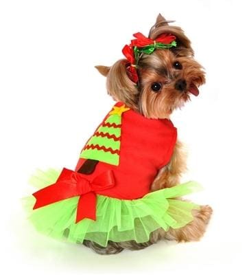 Christmas Tree Dog Dress