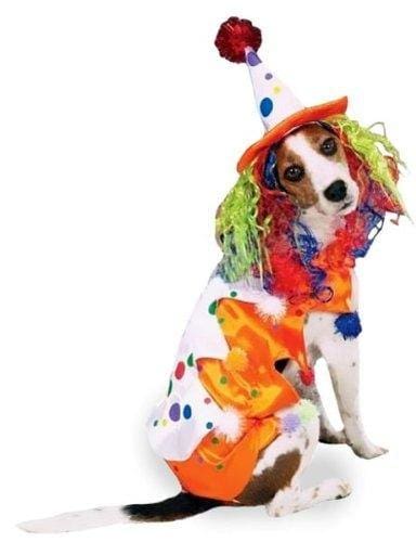 Class Clown Dog Costume