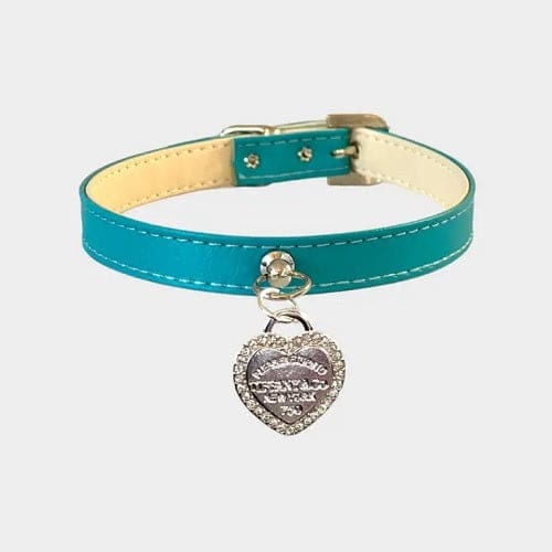 Classic Sniffany Dog Collar