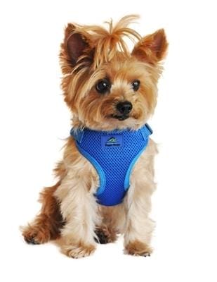 Cobalt Blue Choke Free Dog Harness