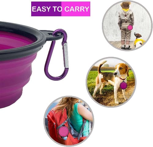 Collapsible Pet Bowl with Lid